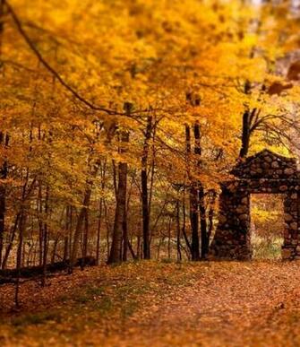 Beautiful Widescreen Wallpaper
