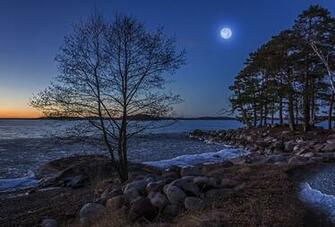 Wallpaper Sweden Nature Moon Coast Stone Evening Trees