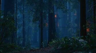 Star Wars Battlefront Stormtrooper Endor Battle Of