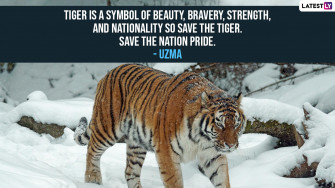 International Tiger Day Quotes Wallpaper Messages