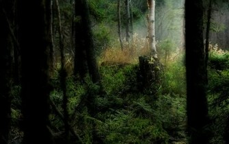 Wallpaper Wide Nature Widescreen HD X Set
