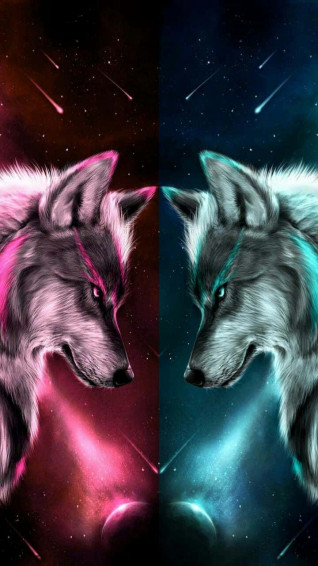 A Remarkable Duality Of Wolf With Both Fire And Water Wallpaper