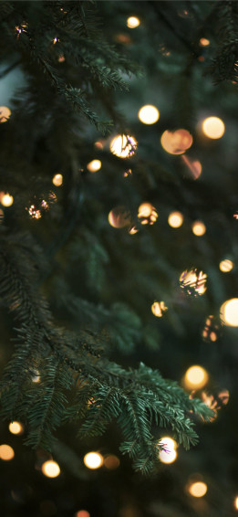 Green Christmas Tree With String Lights iPhone Wallpaper