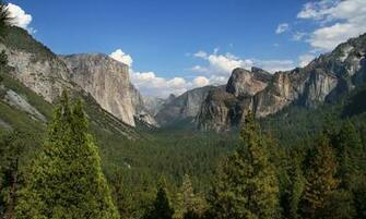Sequoia National Park Wallpaper In HD Quality Inx