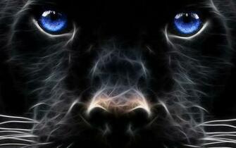 As Adul Ibad On My Style Panther Pictures Black Jaguar