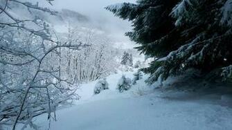 Winter In Norway WqHD Wallpaper