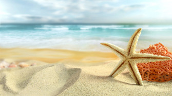 Top White Beach Wallpaper Full HD 4k To Use