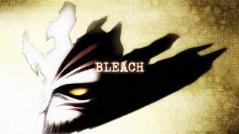 Bleach Wallpaper Hollow