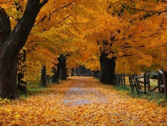 Beautiful Autumn Season Wallpaper HD