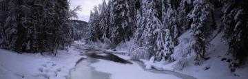 Winter Dual Monitor Wallpaper