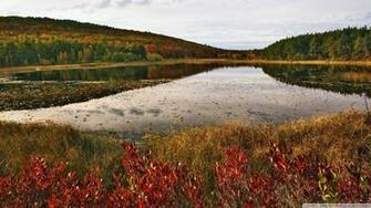 Acadia National Park Maine Wallpaper Breakneck Pond