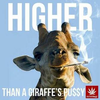 Mobile Wallpaper For Stoners Stoner Pictures