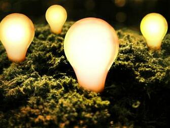 As Desktop Background Wallpaper Creative Firefly