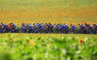 Tour De France Cycling Sports Wallpaper