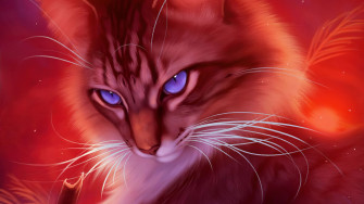 Cat Artwork 4k HD Wallpaper Image Photos