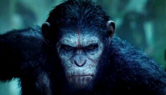 Dawn Of The Planet Apes Wallpaper 1080p Best HD