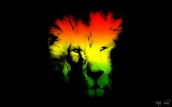 Rasta Reggae Wallpaper HD Image