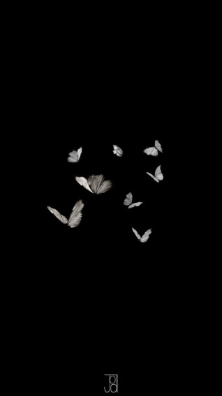 Butterfly Wallpaper Hitam Lucu Kupu Seni