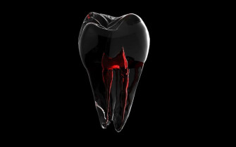 Tooth Picture Wallpaper