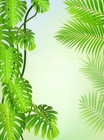 Leaf Elements Vector Background Name Tropical Green