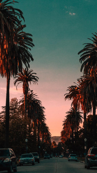 Beautiful Los Angeles iPhone X Wallpaper Preppy
