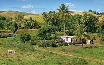 Rave Run Momi Fiji Runner S World