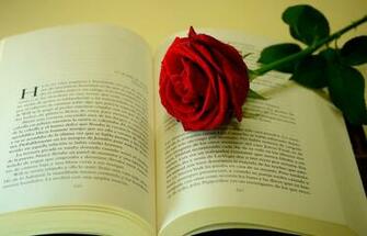 Book And Love Photos Wallpaper55 Best Wallpaper