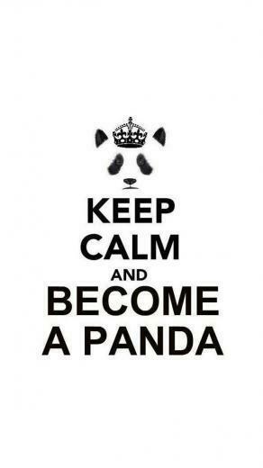 Applewallpaper Keep Calm And Become A Panda