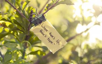 Beautful Thought On Life And Hope HD Wallpaper