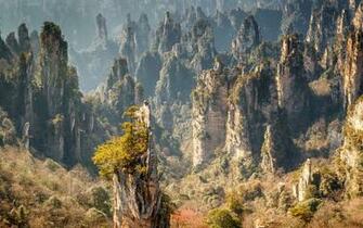Zhangjiajie Wallpaper