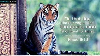 Bible Quotes Image Amos Timeline Covers