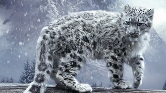 Digital Snow Leopard Desktop Pc And Mac Wallpaper
