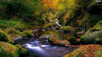 Autumn Landscape Wallpaper