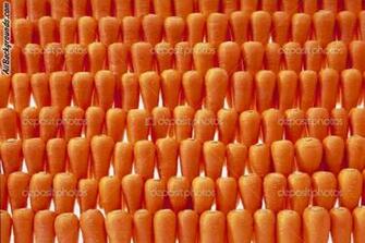 Carrot Background Myspace