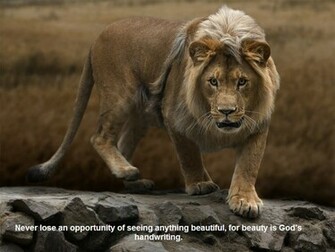 Amazing Nature Wallpaper With Beautiful Quotes Photo
