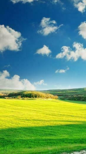 Wonderful Nature iPhone Wallpaper