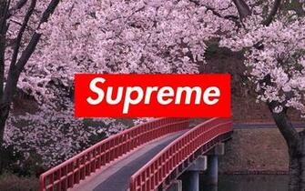 Supreme Laptop Wallpaper Top Background
