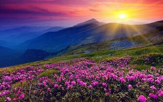 Sunset Mountain 4k Ultra HD Wallpaper Net