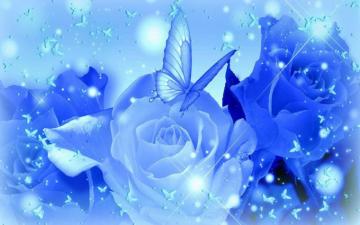 Blue Rose Background Pictures