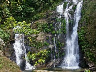 Jungle River Nature Wallpaper