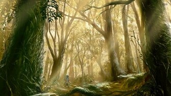 Mushishi Wallpaper Anime