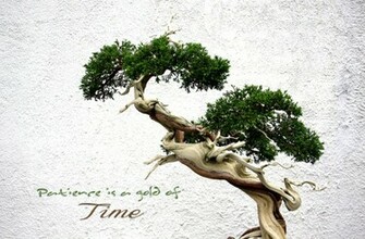 Bonsai Wallpaper