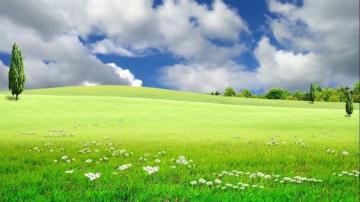 Beautiful Nature Landscape Video Grass Field Background