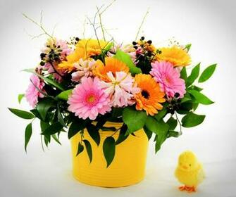 Welcome Spring Wallpaper HD Desktopinhq