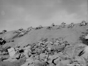 Iwo Jima Wallpaper Print