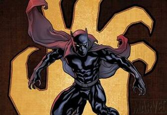 Black Panther Marvel Comics Photo