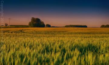 Alberta Prairie Sunrise Landscape Photography