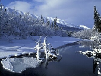 Christmas Nature