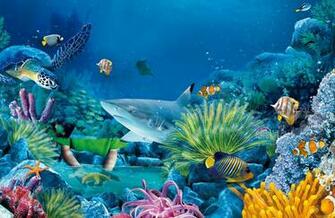 Sea Life HD Wallpaper Background