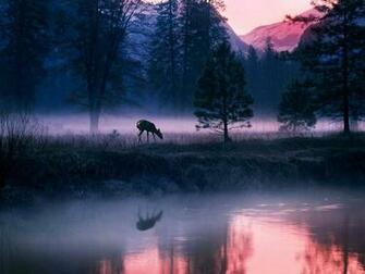 New Yosemite Desktop Background United States Of America Wallpaper